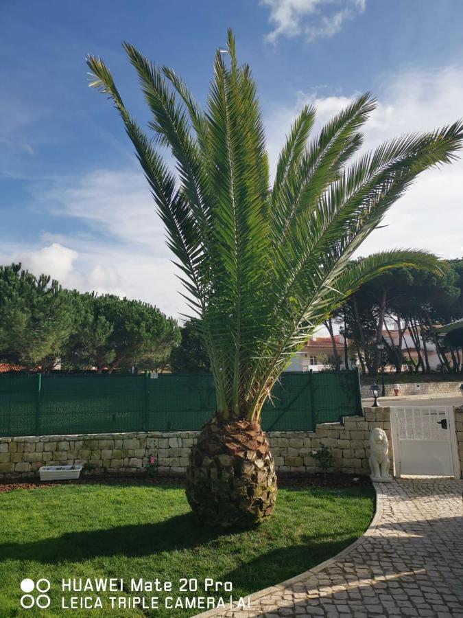 Villa Lala Amoreira  Kültér fotó